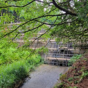 1C3462E1-D75E-4A20-88B6-EE105C55DFC0