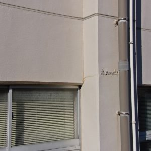 41056B4D-4B70-4249-8840-133585856C6A