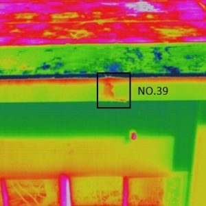 50A28D1F-A681-4164-A312-97D369CF46C3