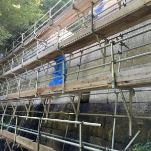 55C8513E-7DE8-46B2-9538-87D442B960AC