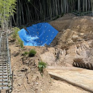 89CFA9A8-288F-41D1-8CEF-5A79FF5FB27B