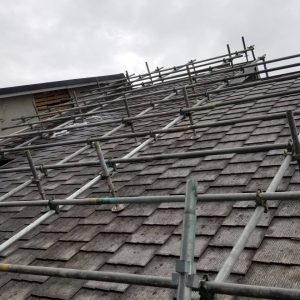 D99B9069-33FA-4C2D-94E7-239CE82704EC